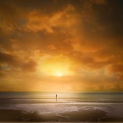 Des King - Morning glory